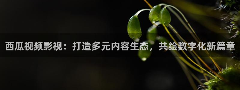 浮力电影网站