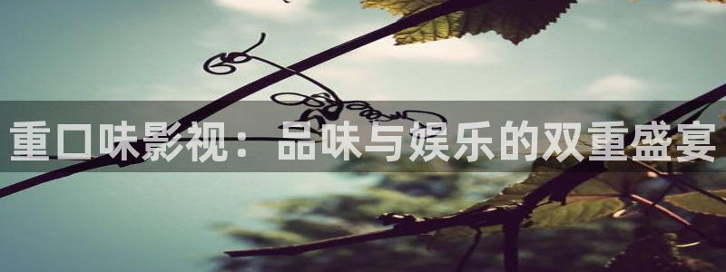 浮力永久影院：重口味影视：品味与娱乐的双重盛宴