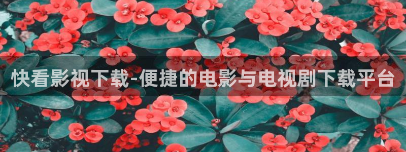 浮力影院国产第二页：快看影视下载-便捷的电影与电视剧下载平台
