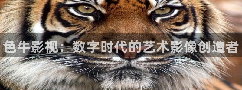 www.草草浮力影院