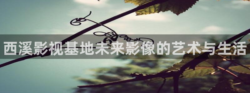 浮力第一浮力第一页影院：西溪影视基地未来影像的艺术与生活