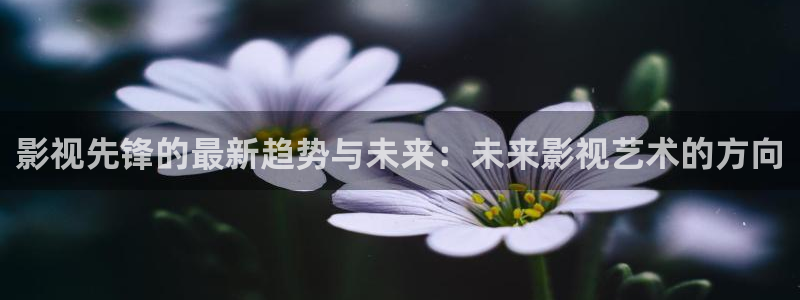 wy浮力影院：影视先锋的最新趋势与未来：未来影视艺术的方向
